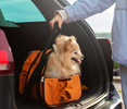 Traveling Tips for New Pet Owners